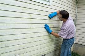 Best Aluminum Siding Installation  in Borger, TX